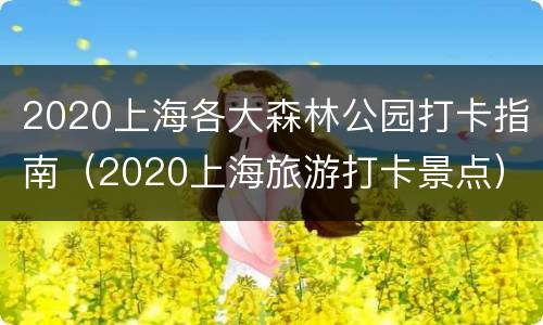 2020上海各大森林公园打卡指南（2020上海旅游打卡景点）