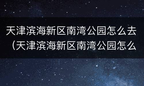 天津滨海新区南湾公园怎么去（天津滨海新区南湾公园怎么去机场）