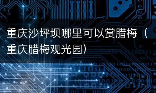 重庆沙坪坝哪里可以赏腊梅（重庆腊梅观光园）