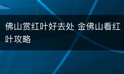 佛山赏红叶好去处 金佛山看红叶攻略