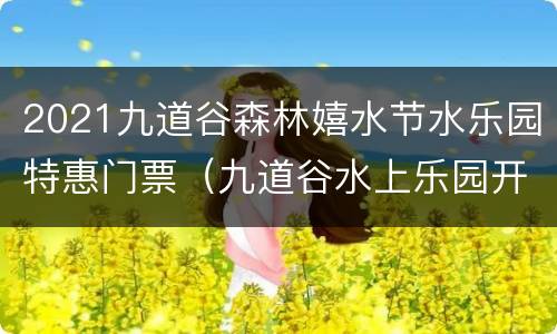 2021九道谷森林嬉水节水乐园特惠门票（九道谷水上乐园开放时间）
