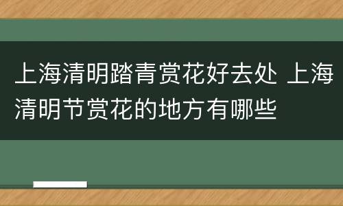 上海清明踏青赏花好去处 上海清明节赏花的地方有哪些
