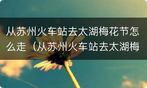 从苏州火车站去太湖梅花节怎么走（从苏州火车站去太湖梅花节怎么走地铁）