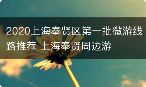 2020上海奉贤区第一批微游线路推荐 上海奉贤周边游