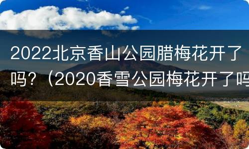 2022北京香山公园腊梅花开了吗?（2020香雪公园梅花开了吗）