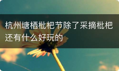 杭州塘栖枇杷节除了采摘枇杷还有什么好玩的