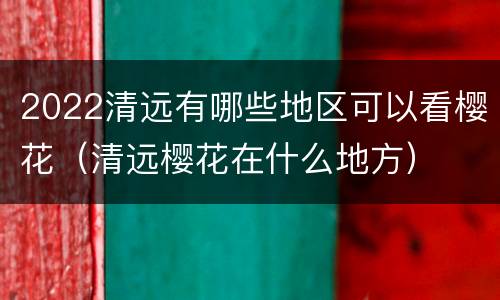 2022清远有哪些地区可以看樱花（清远樱花在什么地方）