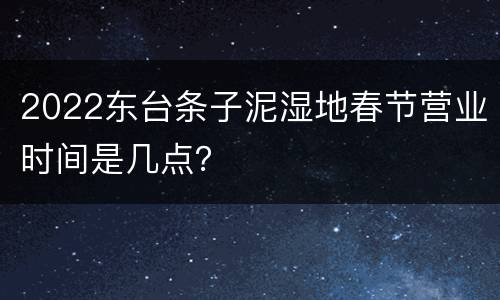 2022东台条子泥湿地春节营业时间是几点？