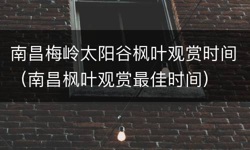 南昌梅岭太阳谷枫叶观赏时间（南昌枫叶观赏最佳时间）