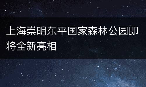 上海崇明东平国家森林公园即将全新亮相