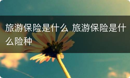 旅游保险是什么 旅游保险是什么险种