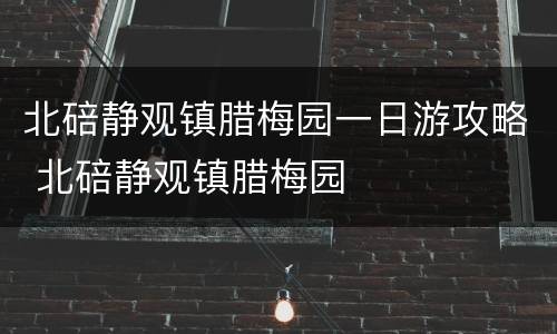 北碚静观镇腊梅园一日游攻略 北碚静观镇腊梅园