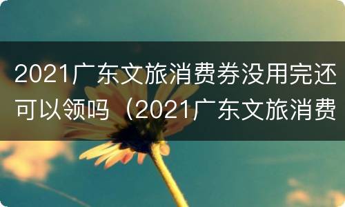 2021广东文旅消费券没用完还可以领吗（2021广东文旅消费券没用完还可以领吗现在）