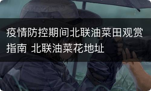 疫情防控期间北联油菜田观赏指南 北联油菜花地址