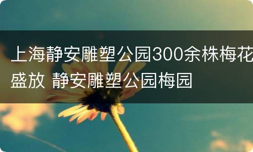 上海静安雕塑公园300余株梅花盛放 静安雕塑公园梅园