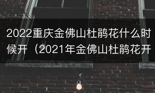 2022重庆金佛山杜鹃花什么时候开（2021年金佛山杜鹃花开了吗）