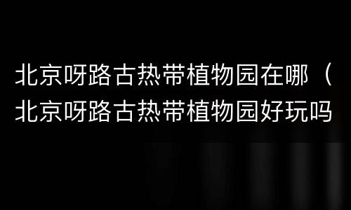 北京呀路古热带植物园在哪（北京呀路古热带植物园好玩吗）