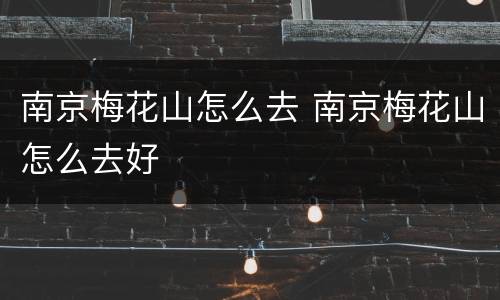 南京梅花山怎么去 南京梅花山怎么去好