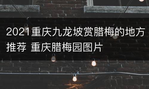 2021重庆九龙坡赏腊梅的地方推荐 重庆腊梅园图片