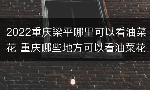 2022重庆梁平哪里可以看油菜花 重庆哪些地方可以看油菜花