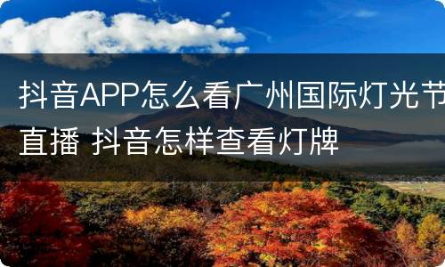 抖音APP怎么看广州国际灯光节直播 抖音怎样查看灯牌