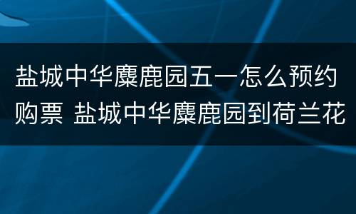 盐城中华麋鹿园五一怎么预约购票 盐城中华麋鹿园到荷兰花海
