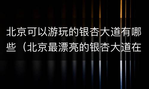 北京可以游玩的银杏大道有哪些（北京最漂亮的银杏大道在哪里）