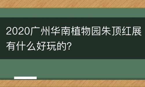2020广州华南植物园朱顶红展有什么好玩的？