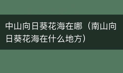 中山向日葵花海在哪（南山向日葵花海在什么地方）