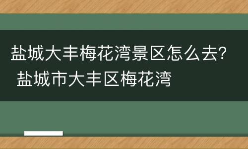 盐城大丰梅花湾景区怎么去？ 盐城市大丰区梅花湾