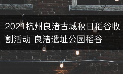 2021杭州良渚古城秋日稻谷收割活动 良渚遗址公园稻谷