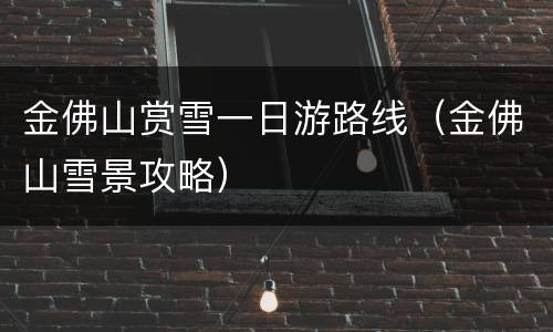 金佛山赏雪一日游路线（金佛山雪景攻略）