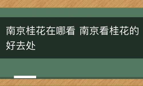 南京桂花在哪看 南京看桂花的好去处