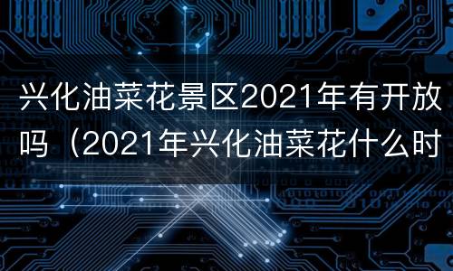 兴化油菜花景区2021年有开放吗（2021年兴化油菜花什么时候开）