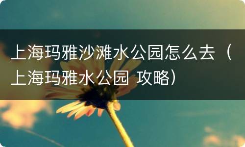 上海玛雅沙滩水公园怎么去（上海玛雅水公园 攻略）