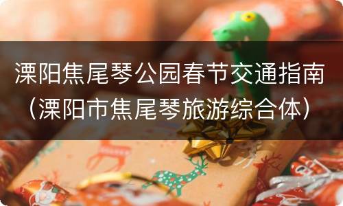 溧阳焦尾琴公园春节交通指南（溧阳市焦尾琴旅游综合体）
