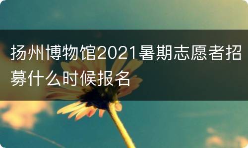 扬州博物馆2021暑期志愿者招募什么时候报名
