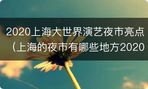 2020上海大世界演艺夜市亮点（上海的夜市有哪些地方2020）