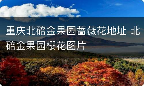 重庆北碚金果园蔷薇花地址 北碚金果园樱花图片