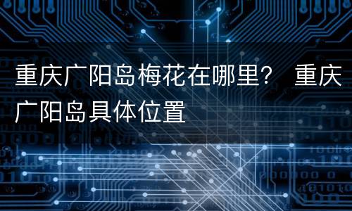 重庆广阳岛梅花在哪里？ 重庆广阳岛具体位置