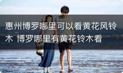 惠州博罗哪里可以看黄花风铃木 博罗哪里有黄花铃木看