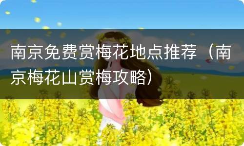 南京免费赏梅花地点推荐（南京梅花山赏梅攻略）