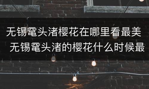 无锡鼋头渚樱花在哪里看最美 无锡鼋头渚的樱花什么时候最美