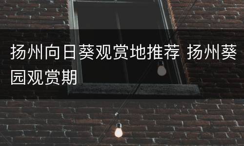 扬州向日葵观赏地推荐 扬州葵园观赏期