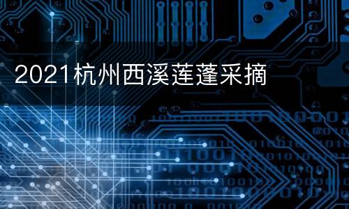 2021杭州西溪莲蓬采摘