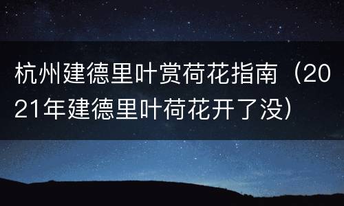 杭州建德里叶赏荷花指南（2021年建德里叶荷花开了没）