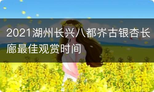 2021湖州长兴八都岕古银杏长廊最佳观赏时间