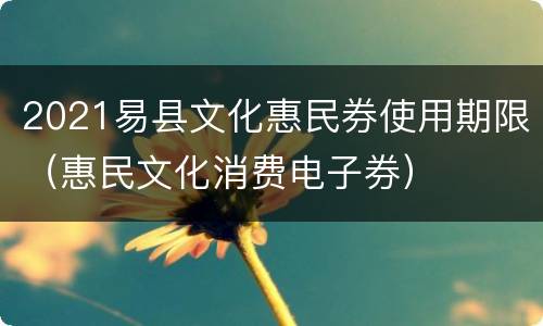 2021易县文化惠民券使用期限（惠民文化消费电子券）