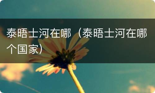 泰晤士河在哪（泰晤士河在哪个国家）