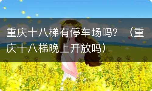 重庆十八梯有停车场吗？（重庆十八梯晚上开放吗）